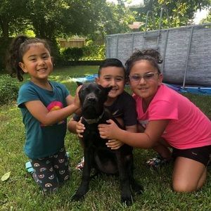 Meet your Posher, Rodney